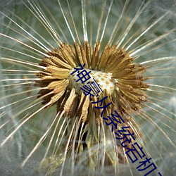神豪从系统宕机开始 （飘萍断梗