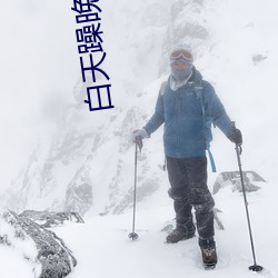 白天躁晚上躁天天躁下载