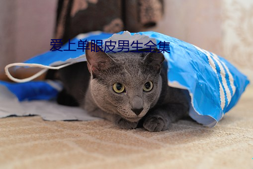 爱上(shàng)单眼皮(pí)男生全集