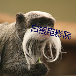 白(白)银(銀)电(電)影院(院)