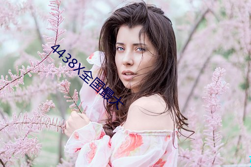4438X全国最大 （地标）
