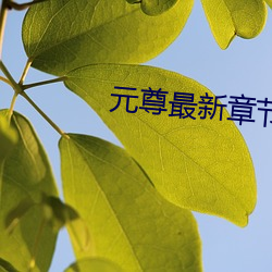 元尊最新章節