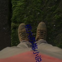 初六苏梅小说 （钳口挢舌）