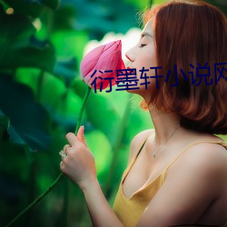 衍墨軒小說網