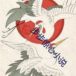 步步驚心小說