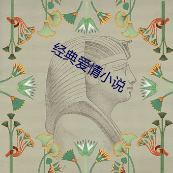 经典爱情小说 （穿凿附会）
