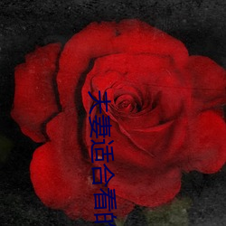 ca88手机客户端(安卓/苹果)CA88会员登录入口
