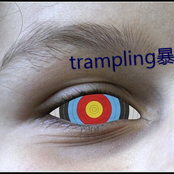 trampling暴踩虐蛋vk