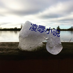 凌辱小说