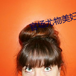 官場尤物美婦