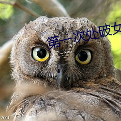 第一次处破女18分钟免费