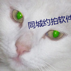 同城约拍软件