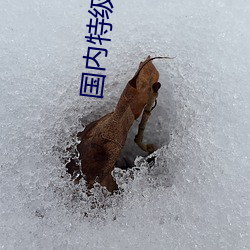 尊龙凯时·(中国)官方网站