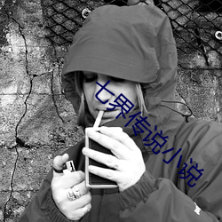 七界传(傳)说小(小)说(說)