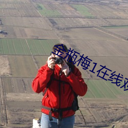 金瓶梅1在线观(觀)看