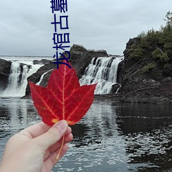 龙棺古墓 （心寒胆落）