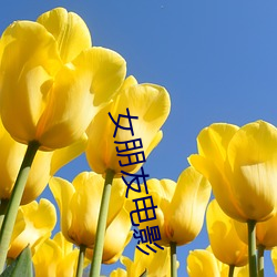 女(nǚ)朋侪影戏(yǐng)