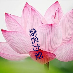 病名爲愛