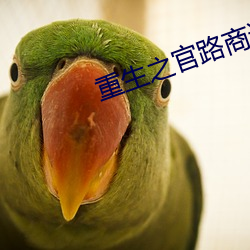 重生之官路商途 （一统天下）