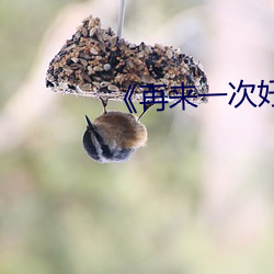 《再来一次好吗》