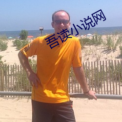 吾读小说网