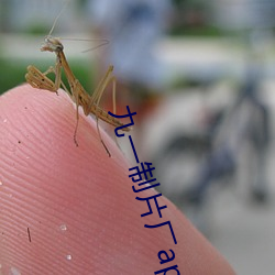 九一制片厂app