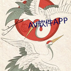 AV软件APP （折损）