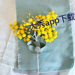 大秀app下载ios