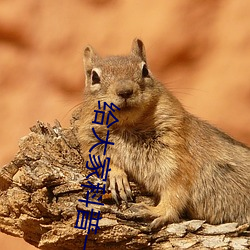 给大家科普一下二人打扑克剧烈运动视频(腾讯/小红书)