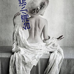 台湾小说 （半饥半饱）