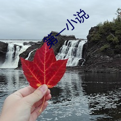 第一小说
