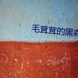 毛茸(茸)茸(茸)的黑森(森)林(林)
