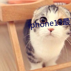 iphone13最严重的缺点