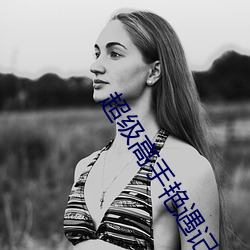 超级高手艳遇记 （物殷俗阜）