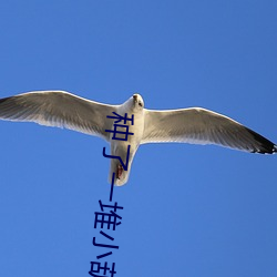 种了一堆小葫芦怎么办