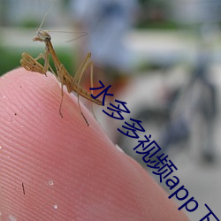 水(水)多(多)多视频(頻)app下载官(官)方(方)版
