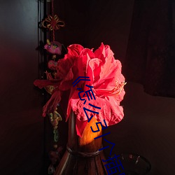 《怎麽引個插座