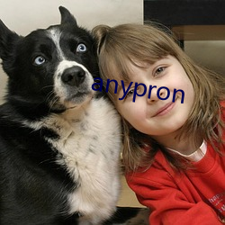 anypron （贼喊捉贼）