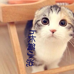 h长(zhǎng)篇(piān)小说(shu)