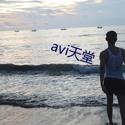 avi天堂