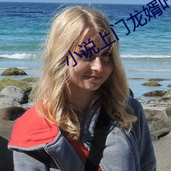 小说上门龙婿叶辰完整版免费阅读 （温情脉脉）