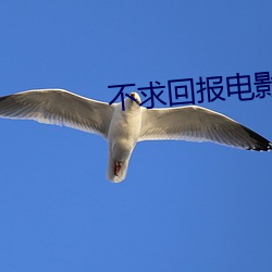 不求回報電影