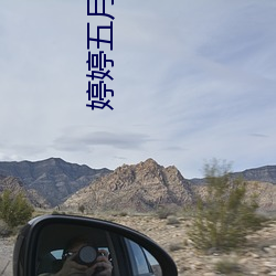 婷婷五月综合人人网
