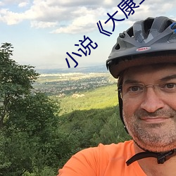 小說《大康王朝》