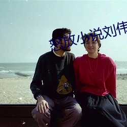 怒放小说刘伟李梅全文免费 因风吹火）