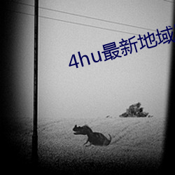 4hu最(最)新地域网(網)名(名)2021