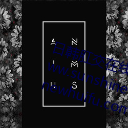 日韩肛交在线 www.sifume.com www.sunshinetravelcard.com www.newhuifu.com