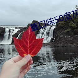918博天堂·(中国)手机版客户端