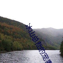 冰山总(總)裁的宠妻(妻)