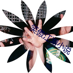 笑傲江湖小(小)说(說)